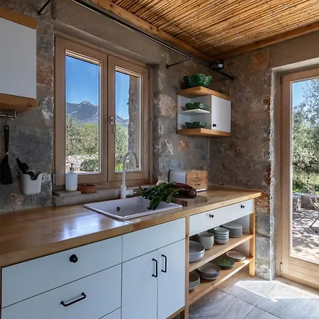 The Architect's Vila